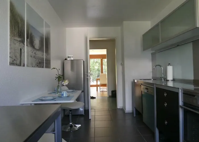 Baselblick Apartament